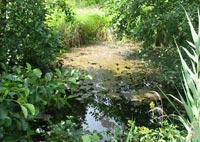 Fontaine du Moulin